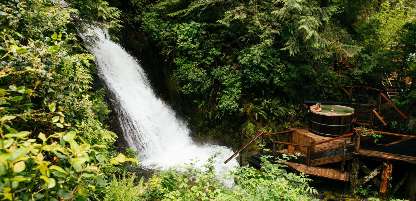 positive_host_nimmoBay6