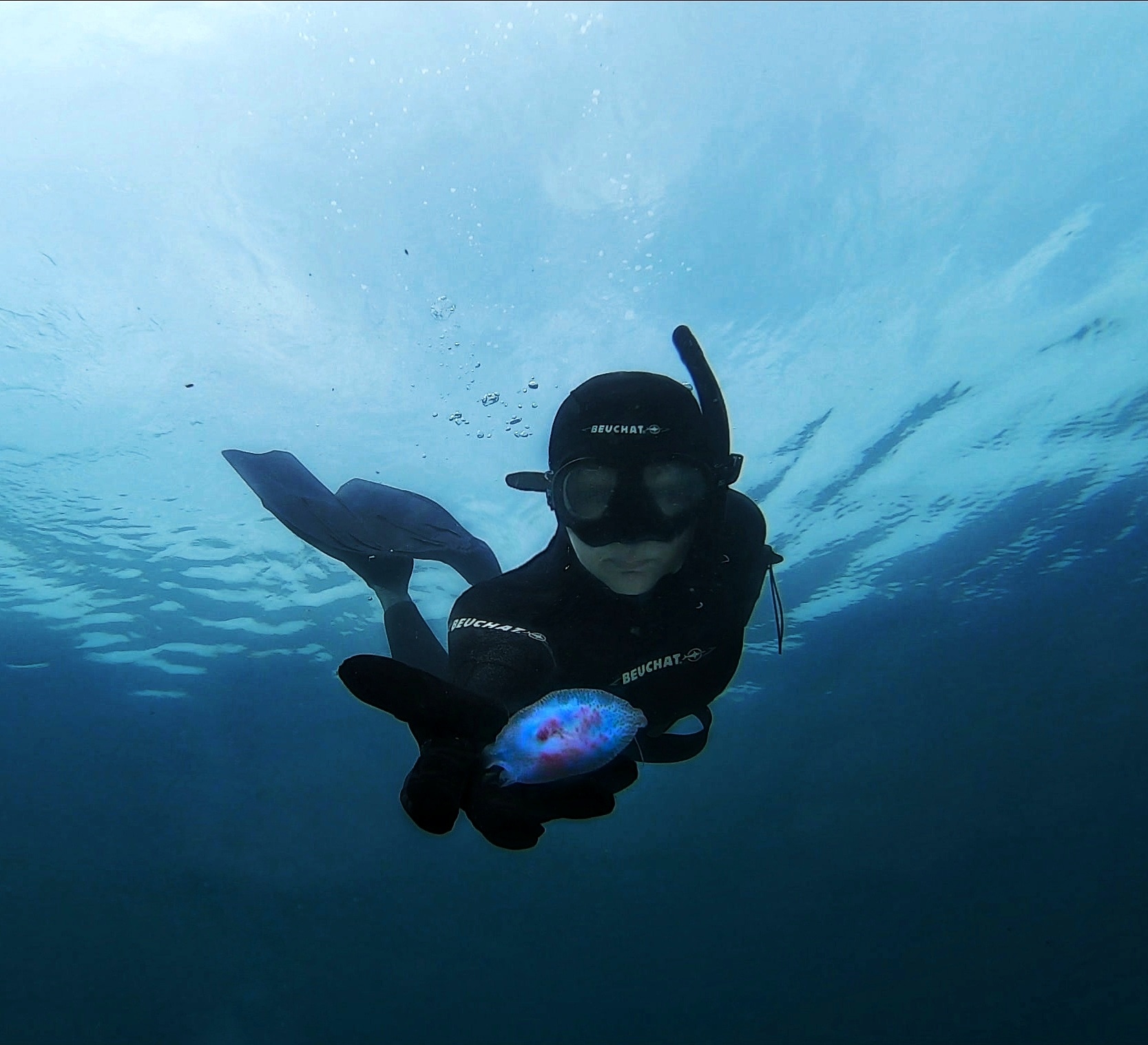 IMG_20200419_183458_504