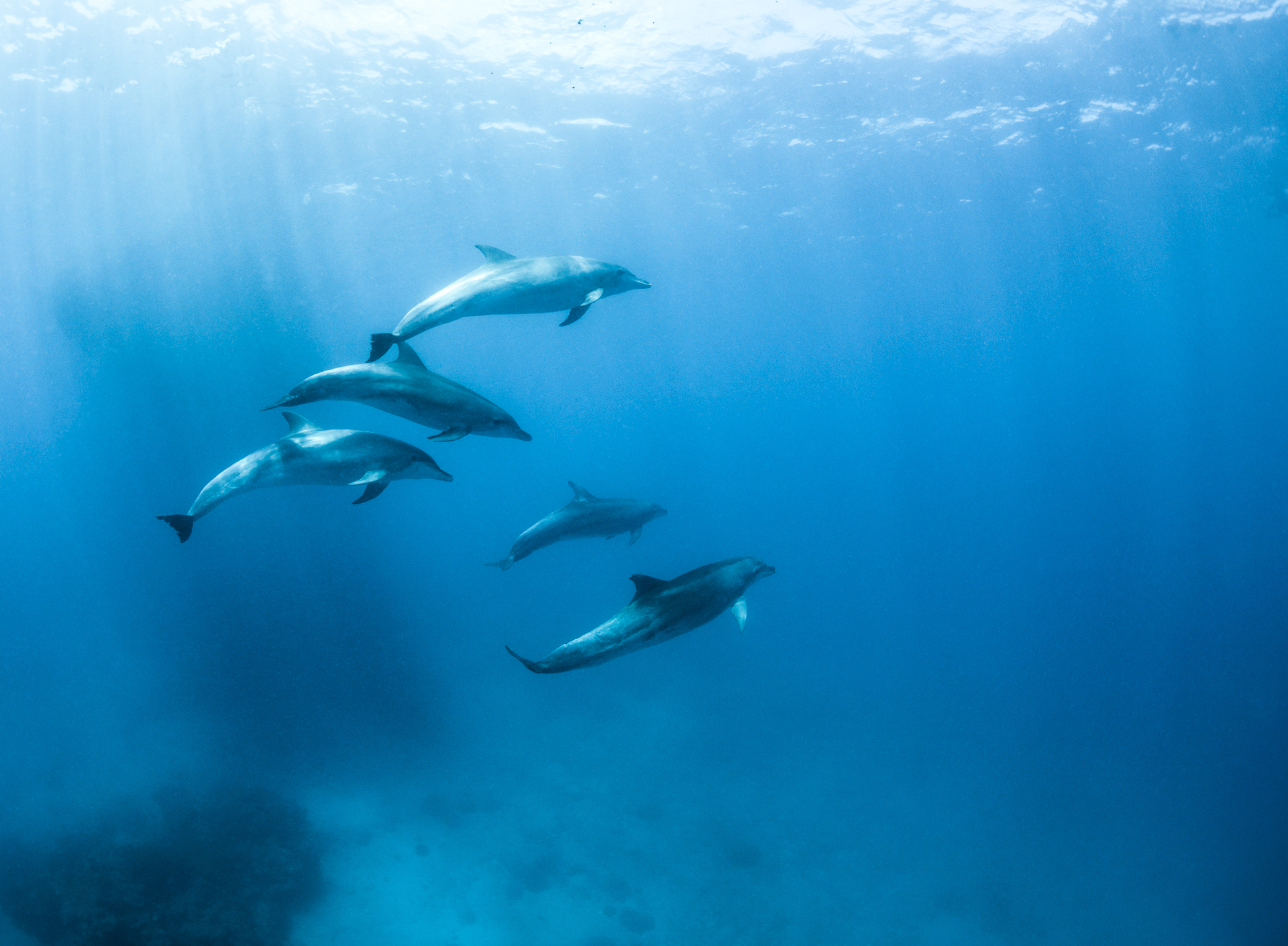 Positive Travel Life Under Water Challenge Nominee Angelina Pilarinos